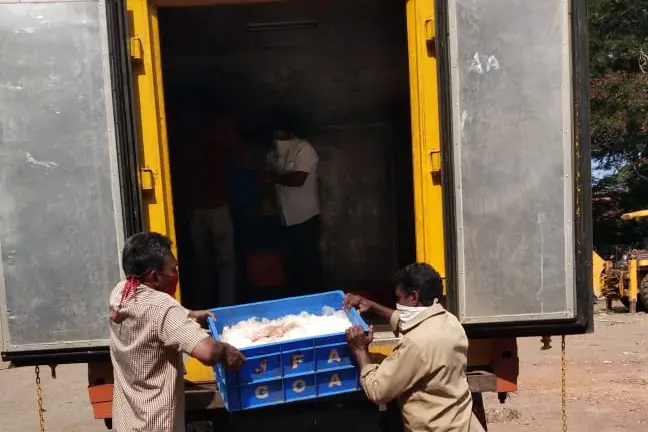 Over 40 tonnes of stale fish seized in state