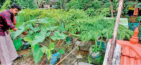 Abhilash involved in farming