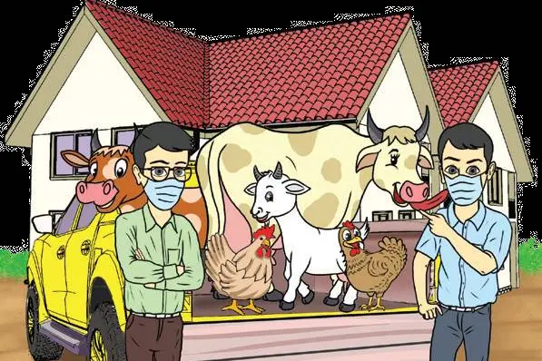 Vechur cows, Malabari goats from veterinary varsity to be reared at Raj Bhavan