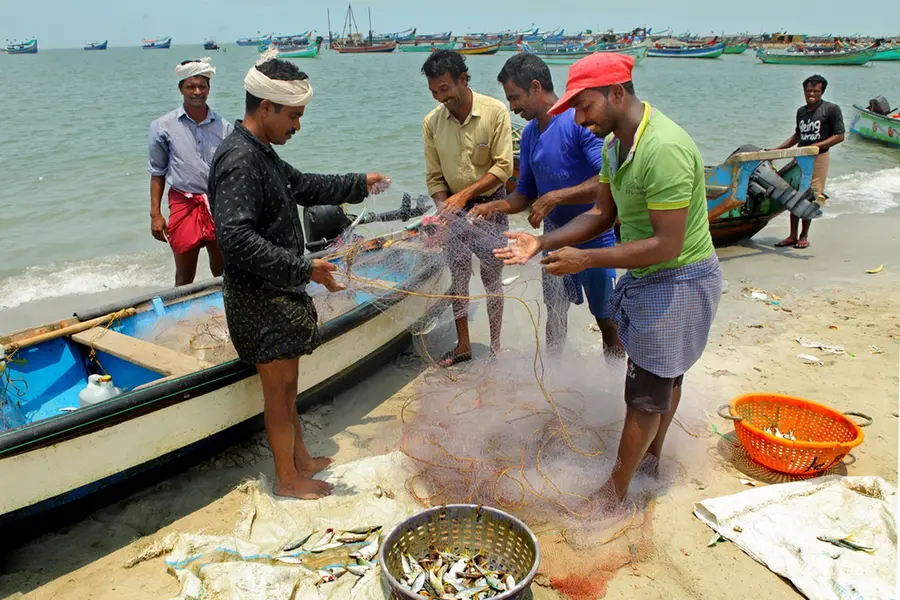 Change in Marine ecosystem, rise in pufferfish population leave fisherfolk in crisis