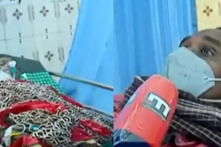 Pathanamthitta man dies of honey bee attack
