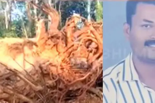 Land owner dies after being hit by JCB bucket in Kattakkada