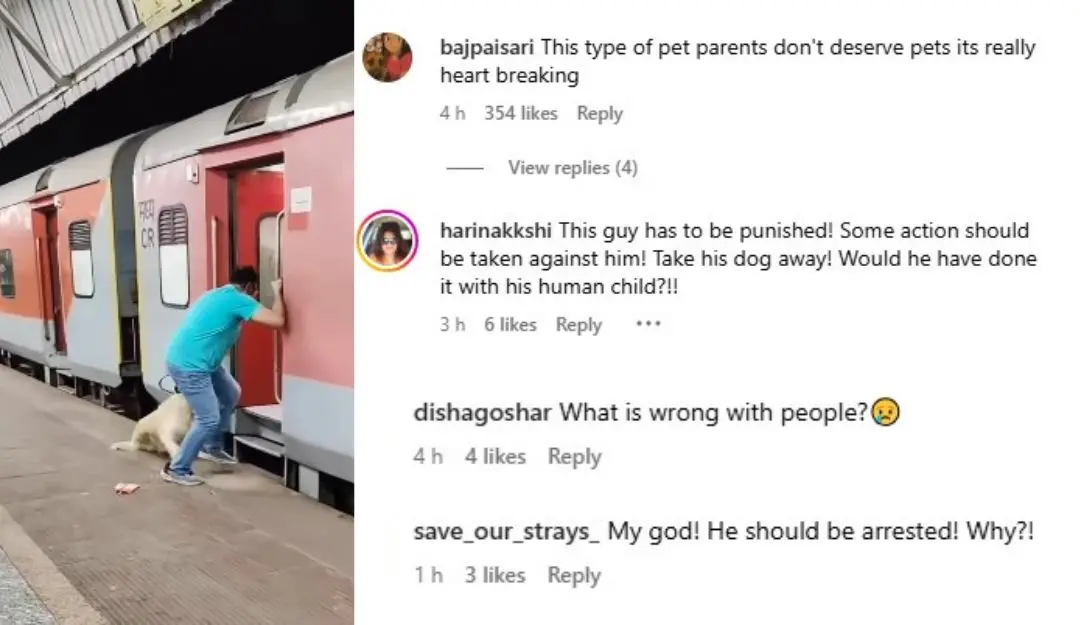 Owner rushing his dog onto the train, screenshots from responses for the video circulated online (Screengrab: Instagram)