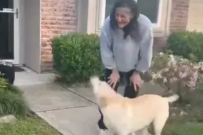Sunita Williams’ adorable reunion with her dogs after 9 months in space | WATCH