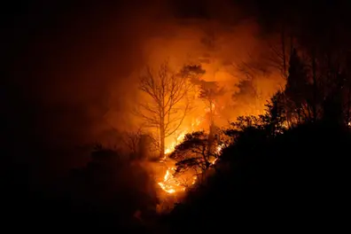South Korea wildfires: Overnight rain cuts haze, improves visibility for firefighters