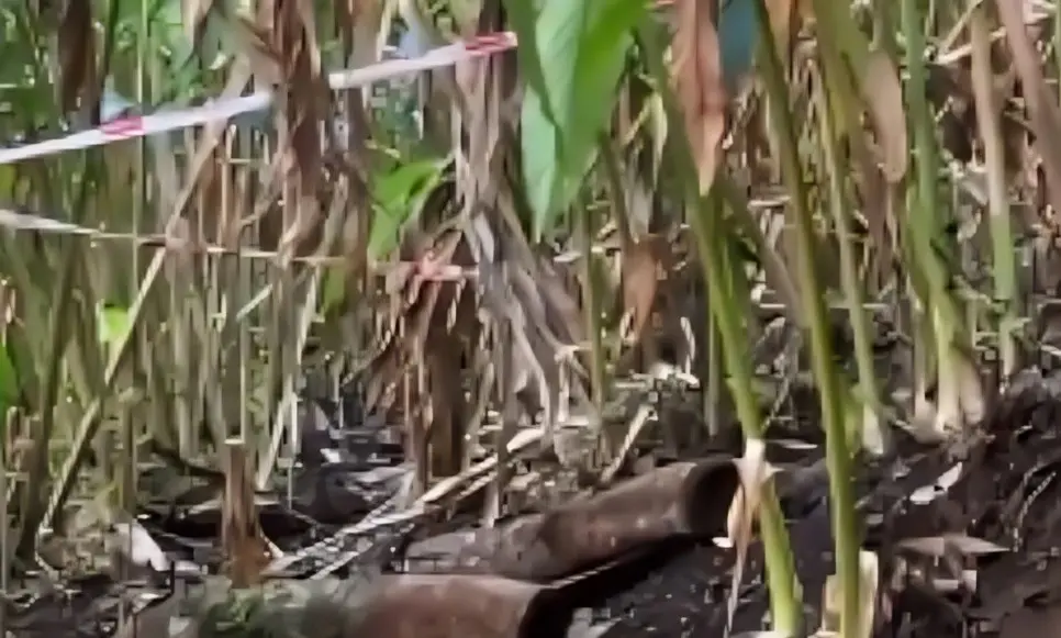 മൃതദേഹം കണ്ടെത്തിയ സ്ഥലം