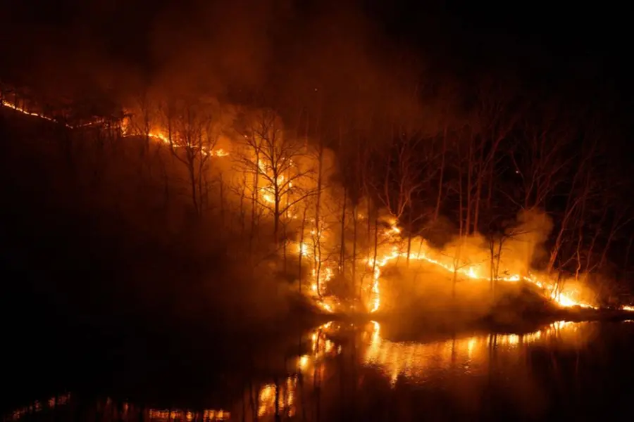 Largest blaze on record: Wildfire claims 26 lives, devours thousands of hectares in South Korea