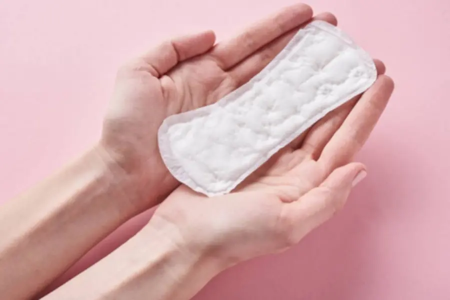 I will kill her...: Japanese politician gets death threats for wanting sanitary pads in restrooms
