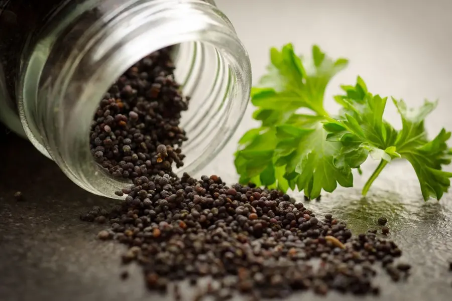 Pepper price hits new high: Surge by Rs 48 per kg in a month