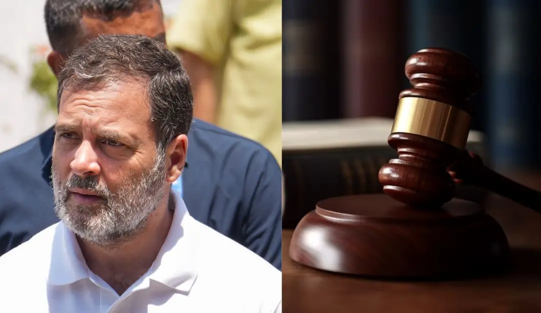 Rahul Gandhi, Representational image (Photo: PTI, Canva)
