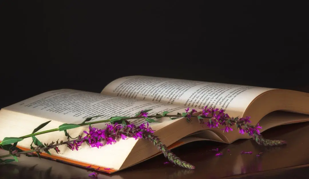 Representational image | Photo: Canva