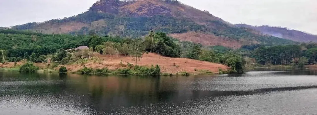 Banks of Malankara reservoir | Photo: MBI