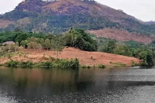 The serene banks of Malankara reservoir – Malayalam cinema’s very own 'Hollywood'!