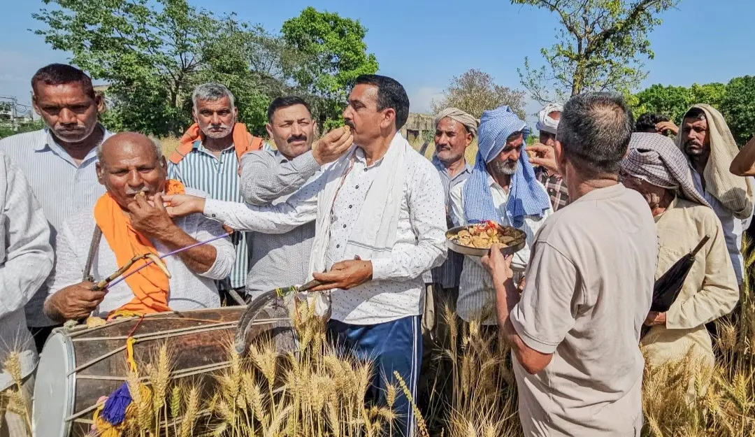 Farmers offer jaggery to each other on the eve of the Baisakhi festival