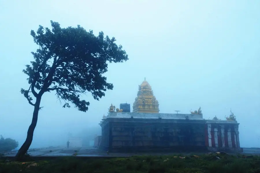 BJP opposes permission granted to Malayalam film shoot in protected Bandipur area
