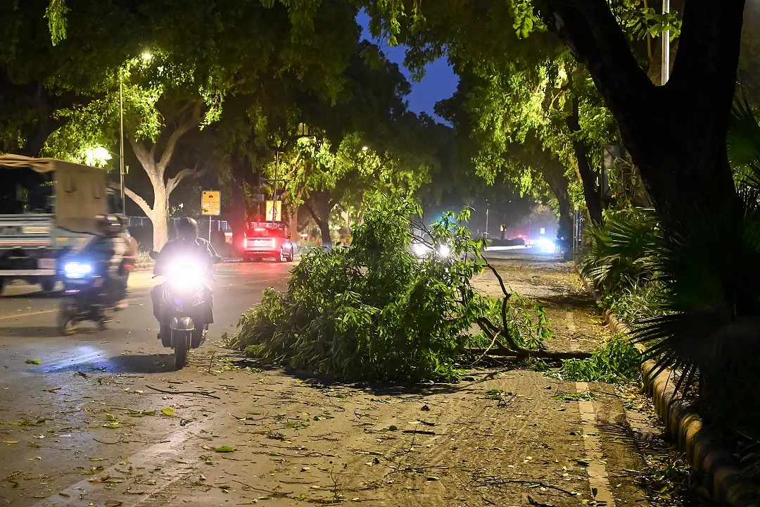 A branch of a tree breaks due to a dust storm, in New Delhi | Photo: ANI