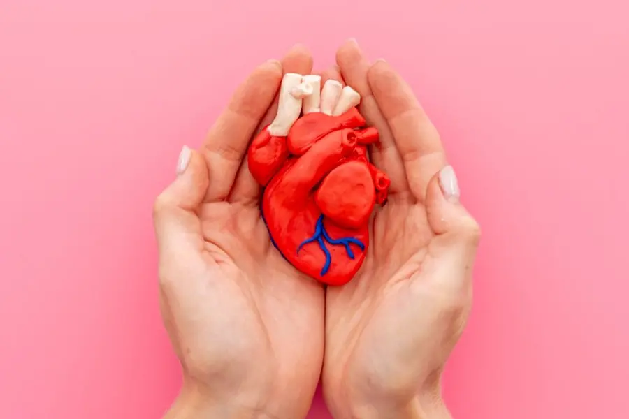 Engineers create world’s smallest pacemaker for newborns that dissolves after healing