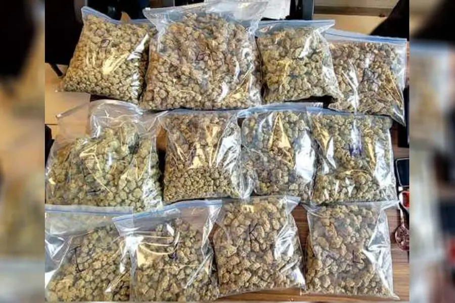 As gold profits decline, Kerala smugglers find new love in hybrid ganja