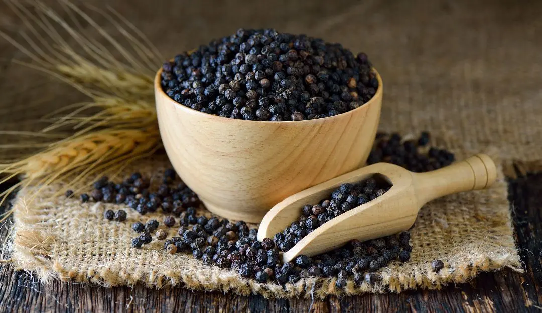 Representational image | Photo: Canva