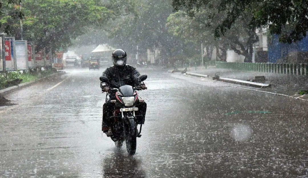 Kerala rains (Photo: ANI)