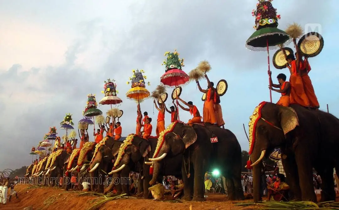 Representational image | Photo: C Biju, Mathrubhumi