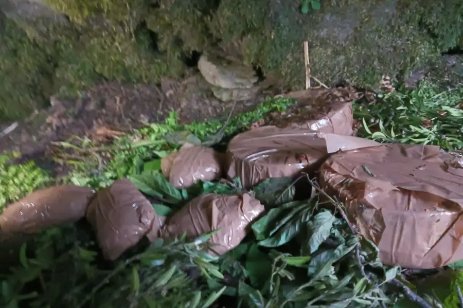 Poonch hideout busted