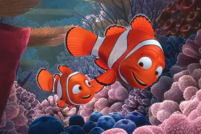 Finding Nemo lied: The real science will ruin your childhood