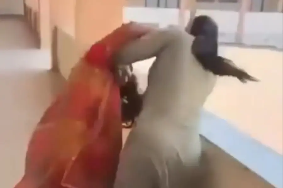 ‘How dare you slap me!’: Principal, librarian suspended after viral school fight in MP