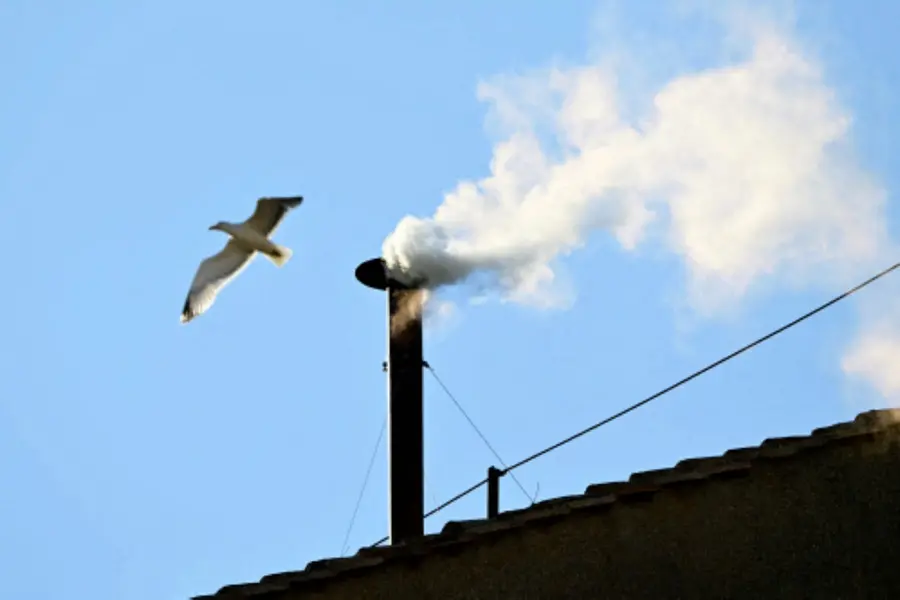 World set to welcome new pope as white smoke pours out of the Sistine Chapel chimney