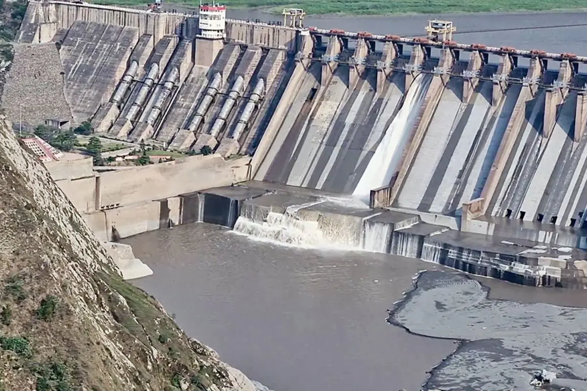 Salal Dam built on the Chenab River (Photo: ANI)
