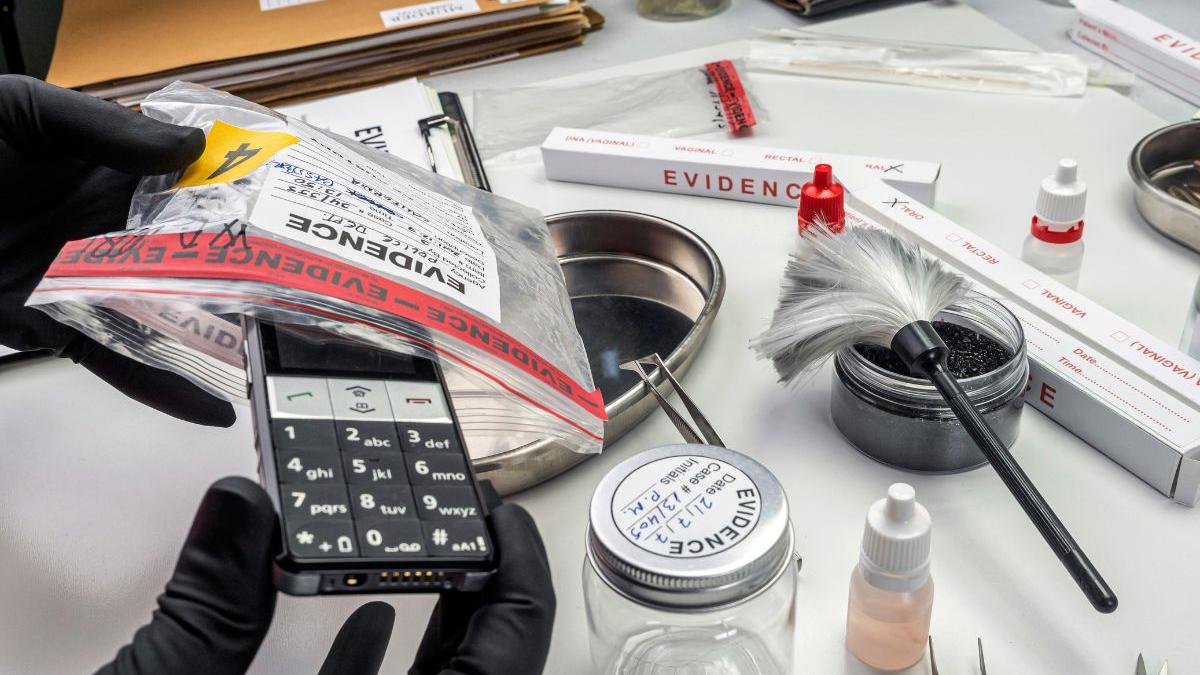 Here's how to apply for Senior Scientific Assistant Posts in Forensic ...