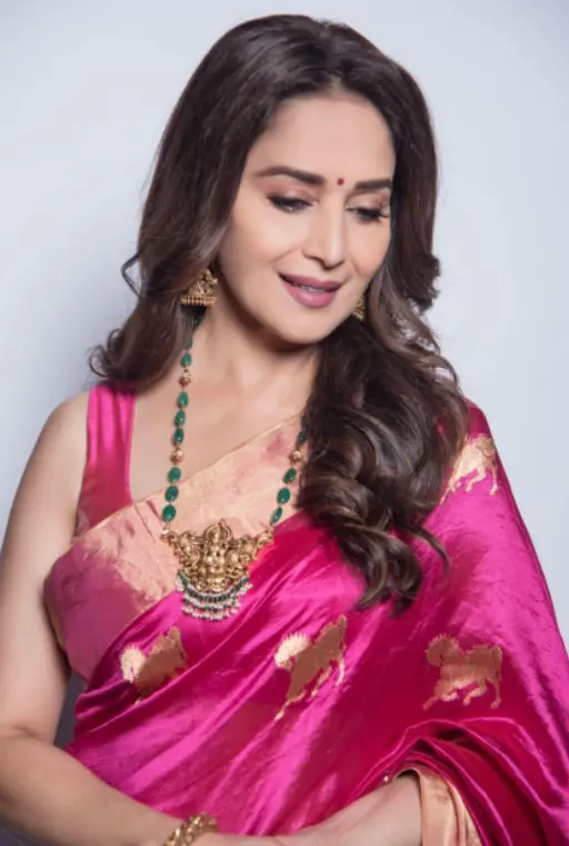 Madhuri Dixit | Photo: instagram