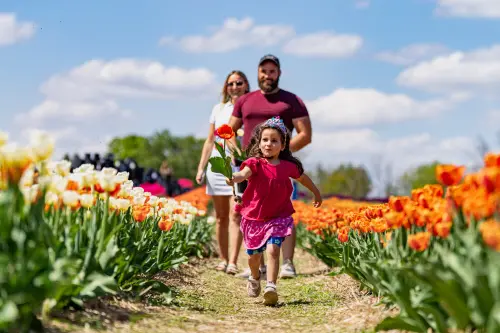International Day of Families 2025: Five ways to rekindle the bond with your bloodline