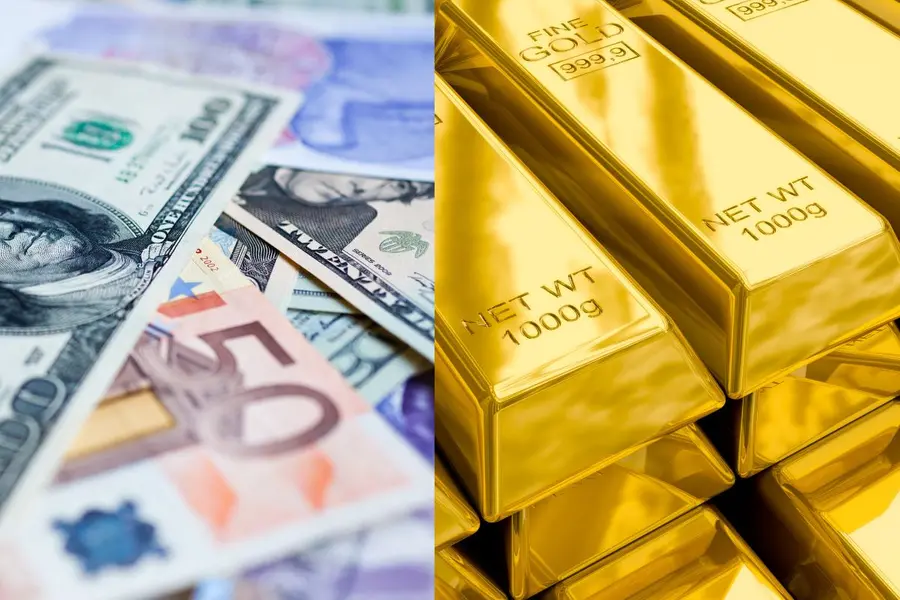 Foreign exchange reserves
