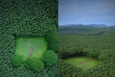 Kerala’s hidden field goes viral: ‘Thought it was the Amazon!’