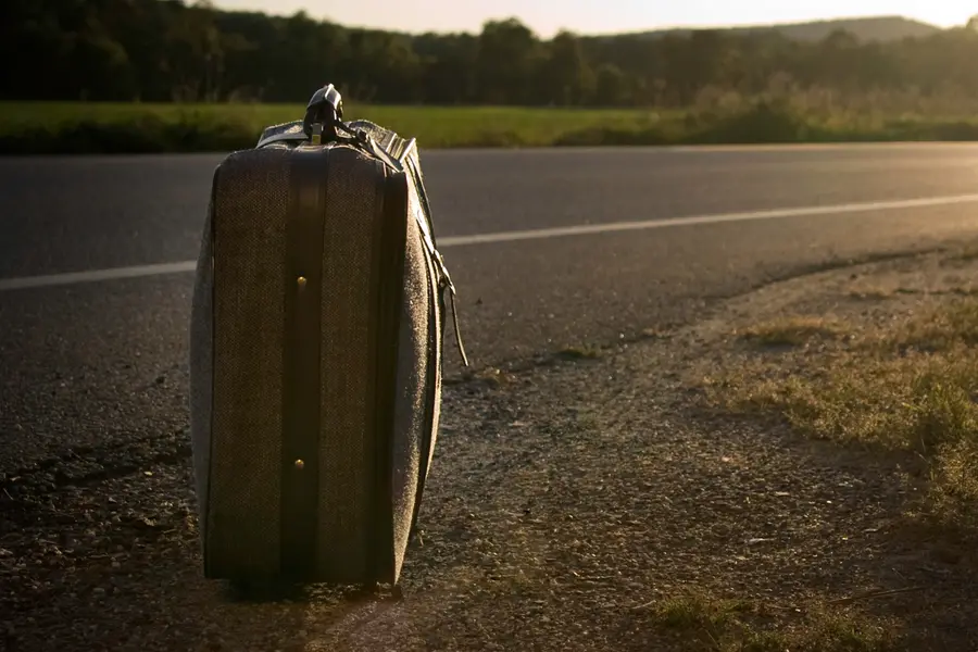 Suitcase