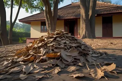 Suchitwa Mission urges residents to stop burning dry leaves; suggests eco-friendly alternatives instead