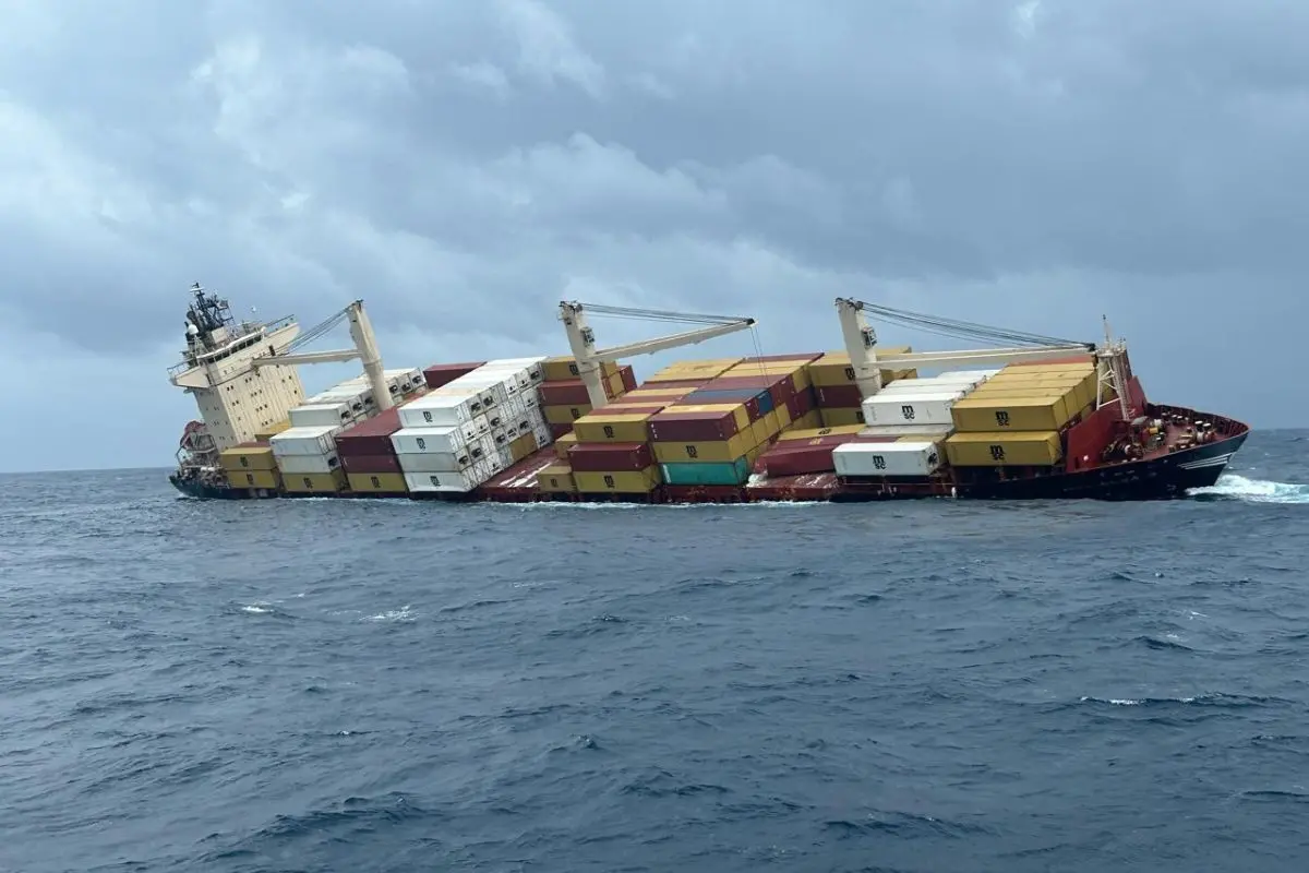 MSC ELSA 3