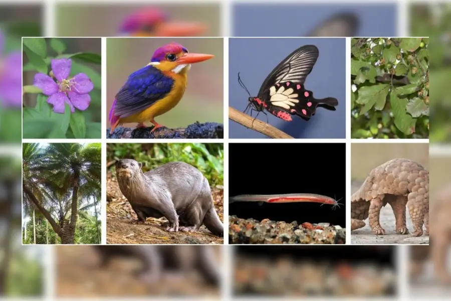 biodiversity