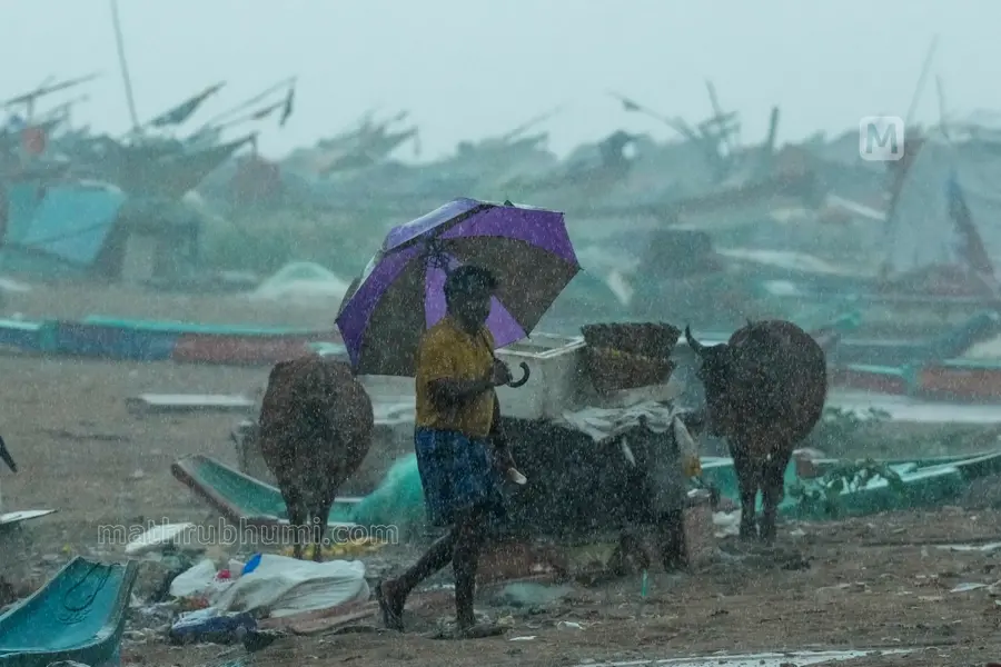 rainfall