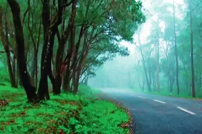 Heavy monsoon rains force closure of Ponmudi, Munnar and other top tourist spots in Kerala