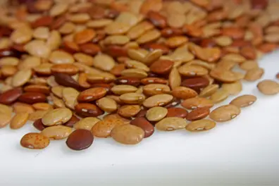 Packed with protein, Horse gram is the next superfood you need to try
