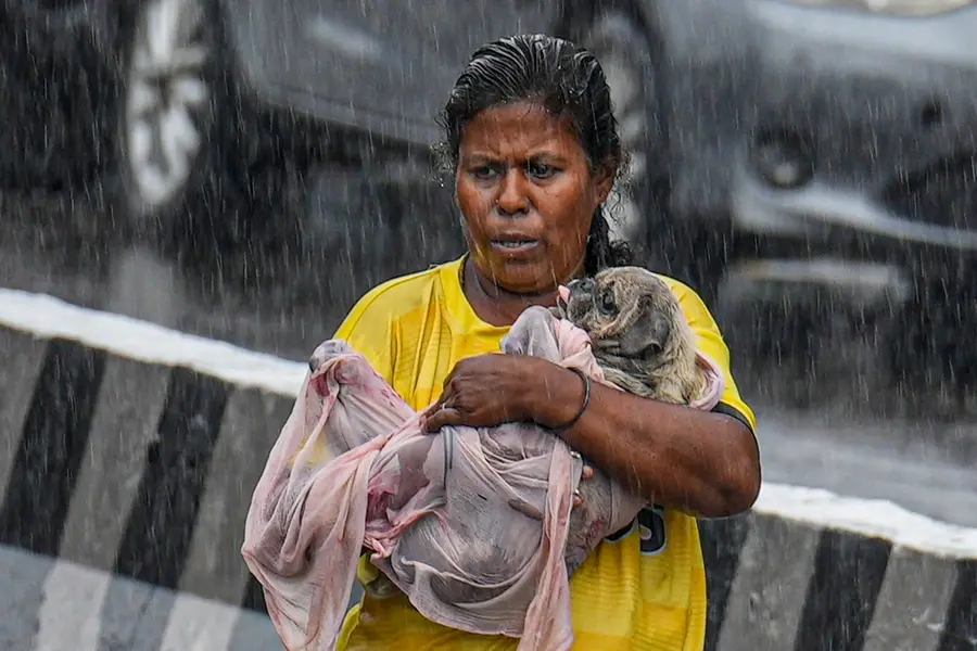 tamil nadu rains