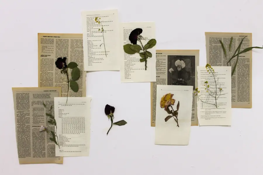 book pages