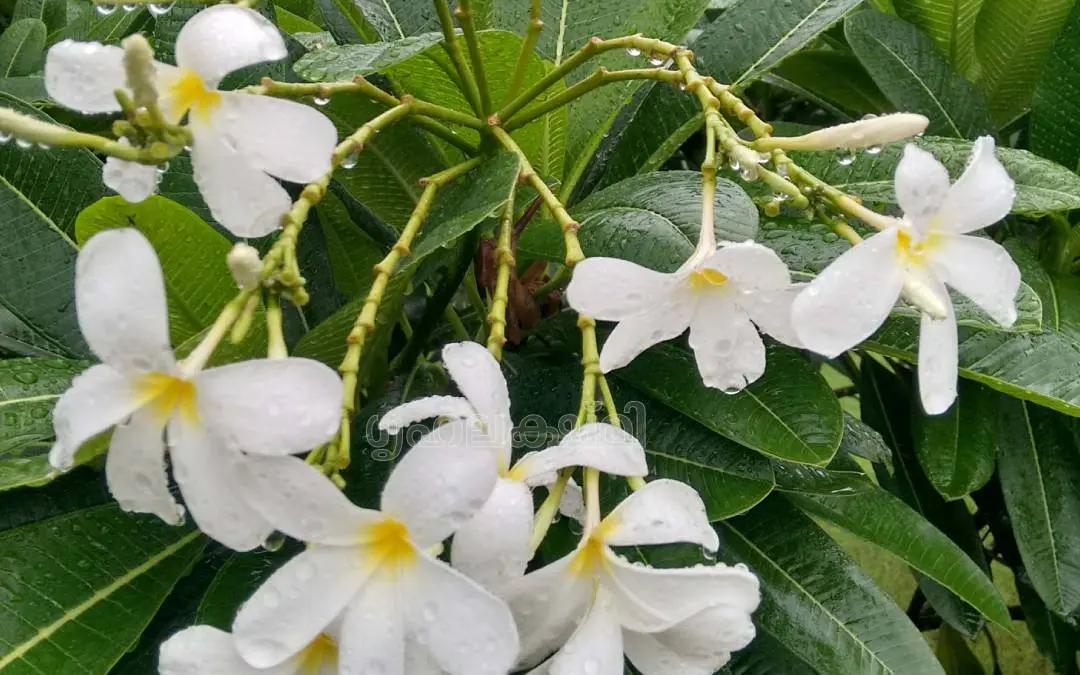 പ്രതീകാത്മകചിത്രം