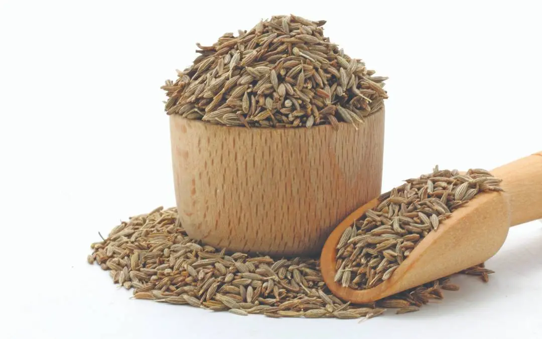 പ്രതീകാത്മകചിത്രം | Shutterstock