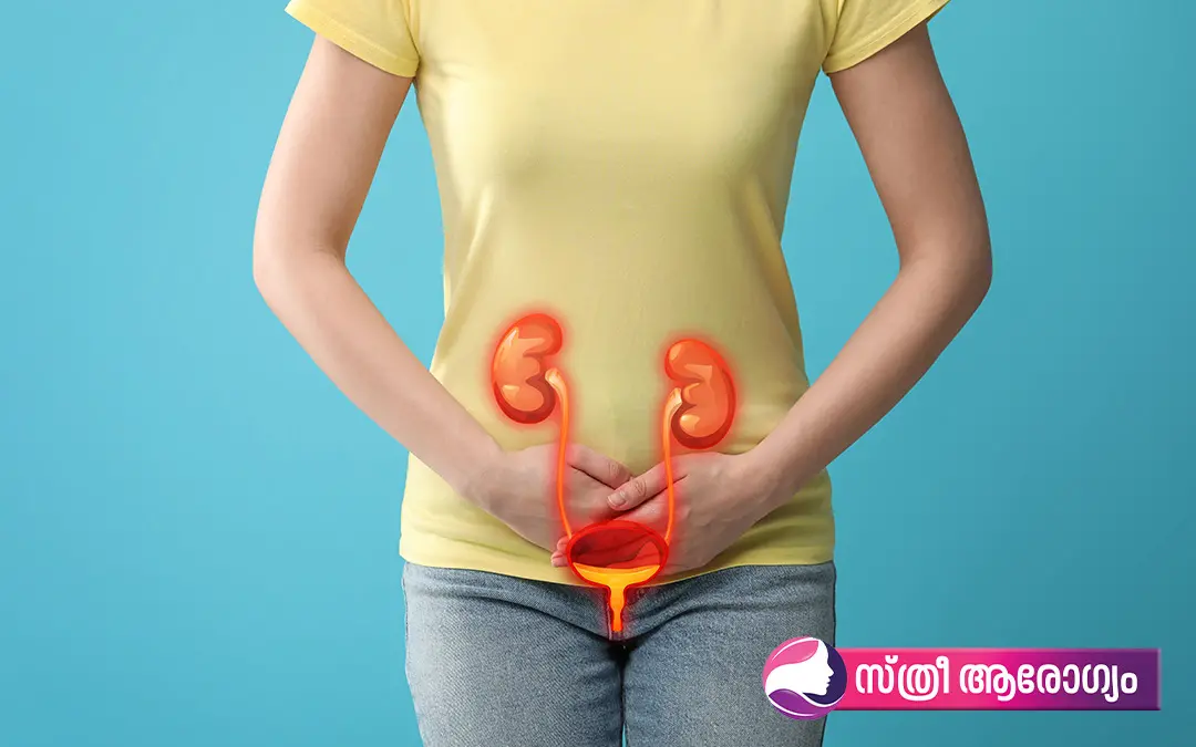 പ്രതീകാത്മകചിത്രം/Photo: Shutterstock