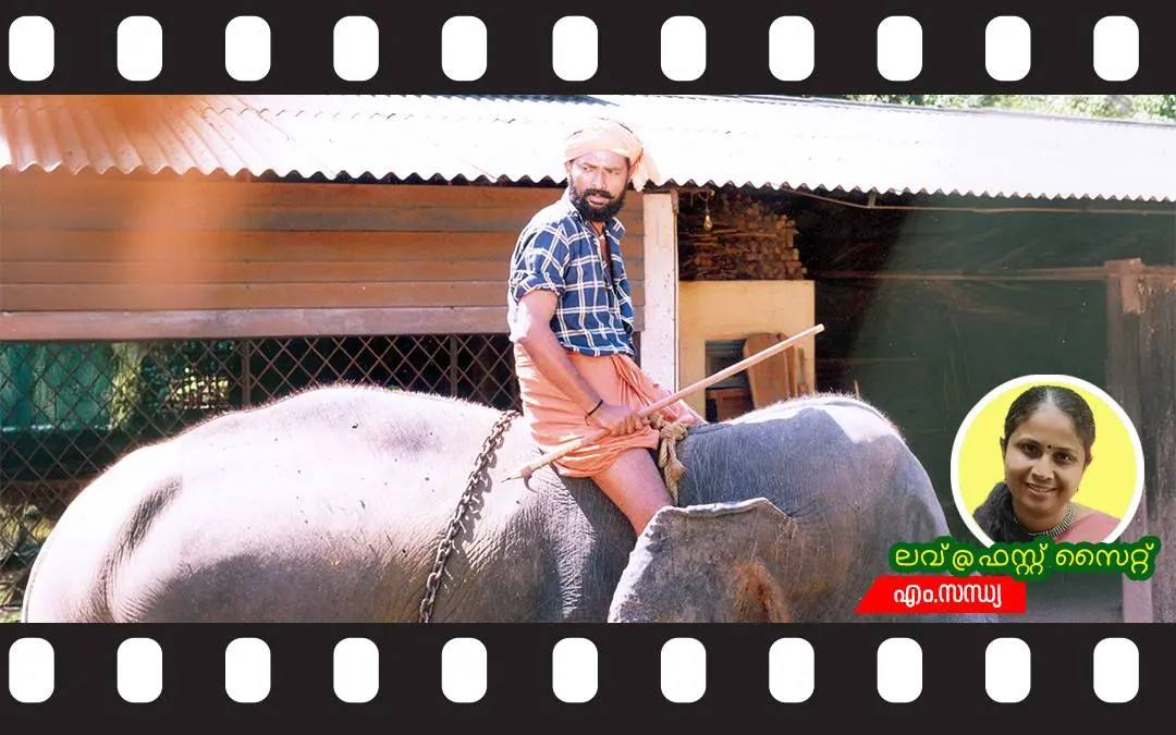 'അരയന്നങ്ങളുടെ വീട്' സിനിമയിൽനിന്ന് ഒരു രംഗം / ഫോട്ടോ: മോമി