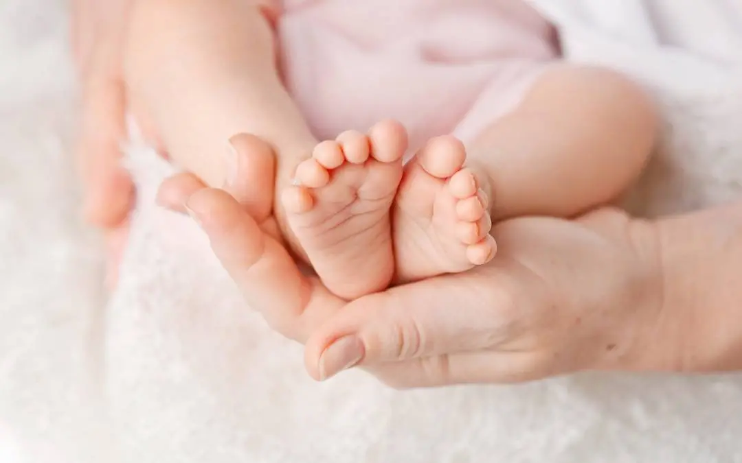 പ്രതീകാത്മകചിത്രം | Shutterstock