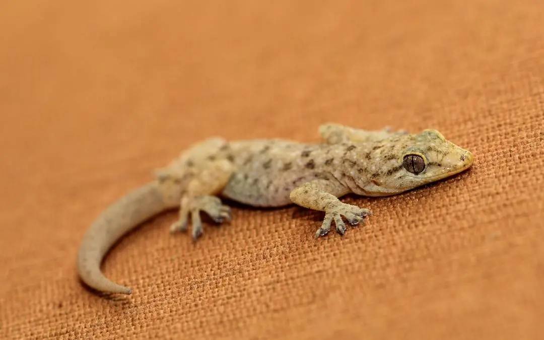 പ്രതീകാത്മകചിത്രം / Shutterstock